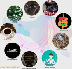 Kopi Luwak Koffie. 35 Gram Ongemalen Bonen. Direct Trade. Single Origin. The Original By Rich.Exclusive. 24 Kopi Luwak Koffie. 35 Gram Ongemalen Bonen. Direct Trade. Single Origin. The Original By Rich.Exclusive. -Rogers Coffee Service Winkel 1200x1153 1