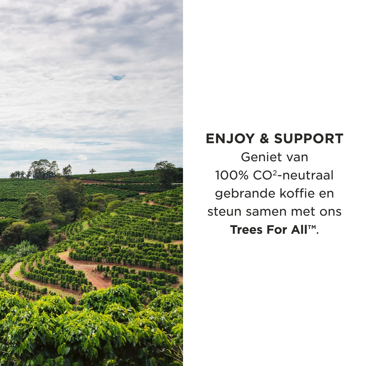 Aroma Club - Koffiebonen 1KG - No. 2 Smooth James - Koffie Intensiteit 3/5 - Espresso & Lungo 4 Aroma Club - Koffiebonen 1KG - No. 2 Smooth James - Koffie Intensiteit 3/5 - Espresso & Lungo - Afbeelding 4