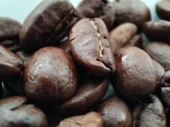 Voordeelpakket: Den Leeuw Lungo (80 Koffiecups) - Roast Koffiecups - Echte Hollandsche Koffie Van Den Leeuw In Nespresso Cups - Nespresso Compatibele Koffie Cups -Rogers Coffee Service Winkel 1200x900